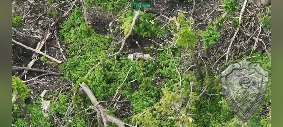 ������� �� ������� �������