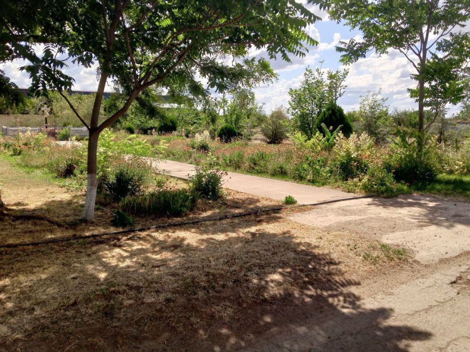 � �������� ���� ���� ������������ �������� ������ ���������� ��������