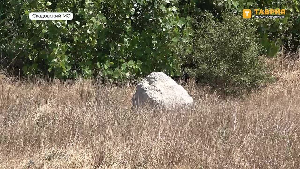 ������������� ���� ������� ���������� ����������� ������ ��� ������� ������������