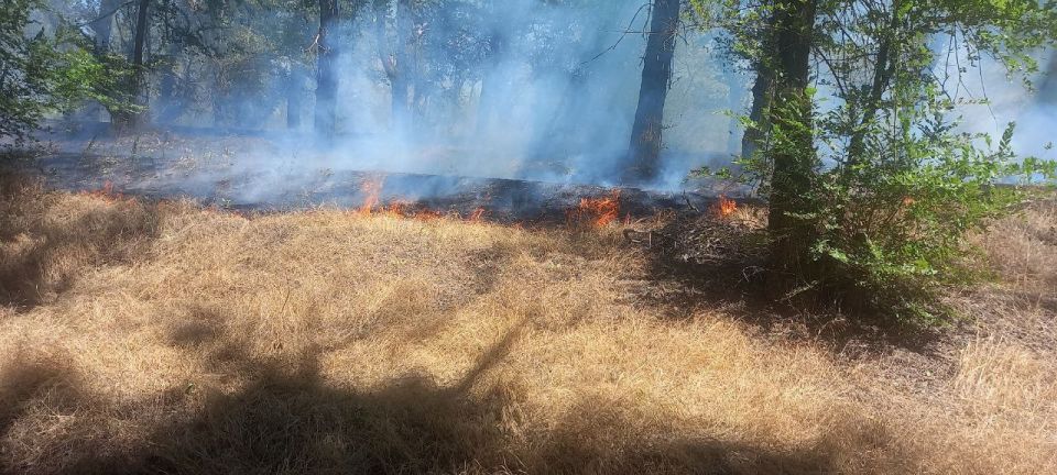 ������ ������, ��������� � ���������� ��������� ���, ������������� � ������� ������� ���������� �������, ������� �������� ������