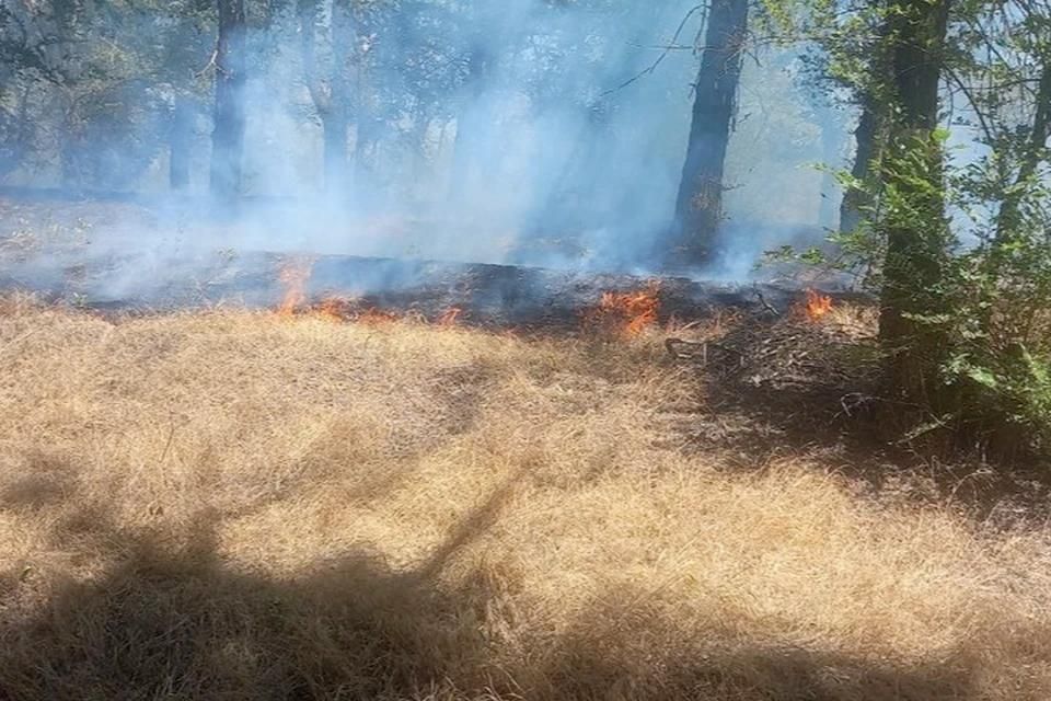 ���� ��� ������ ������� � ���������� ���� ��������