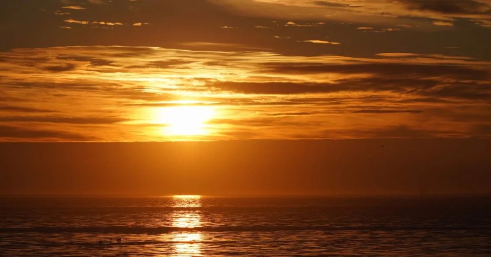 ����� ����������: ������� ������, ���������� � ����������� ������� ������!