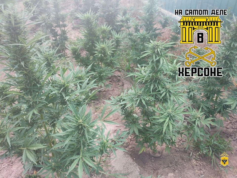 � ��������� �������������� ���������, ����� ��� ������ �� ��, ��� ��������� �������