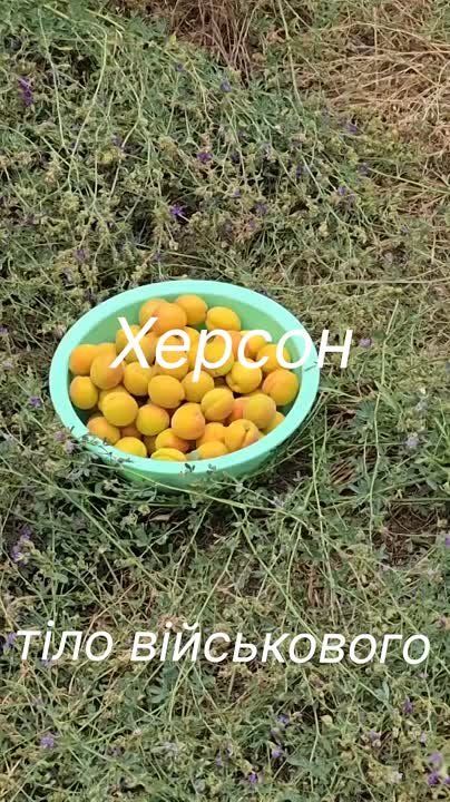 ������. ������� ����