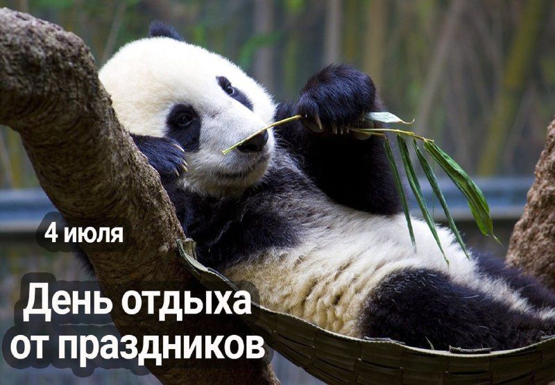 4 ���� � ���������� 15 ����������