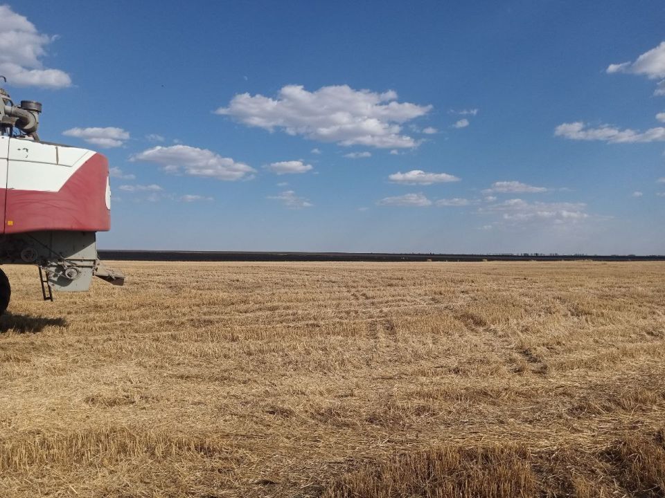 ����� ��������: ���� ���������. ����������� ��