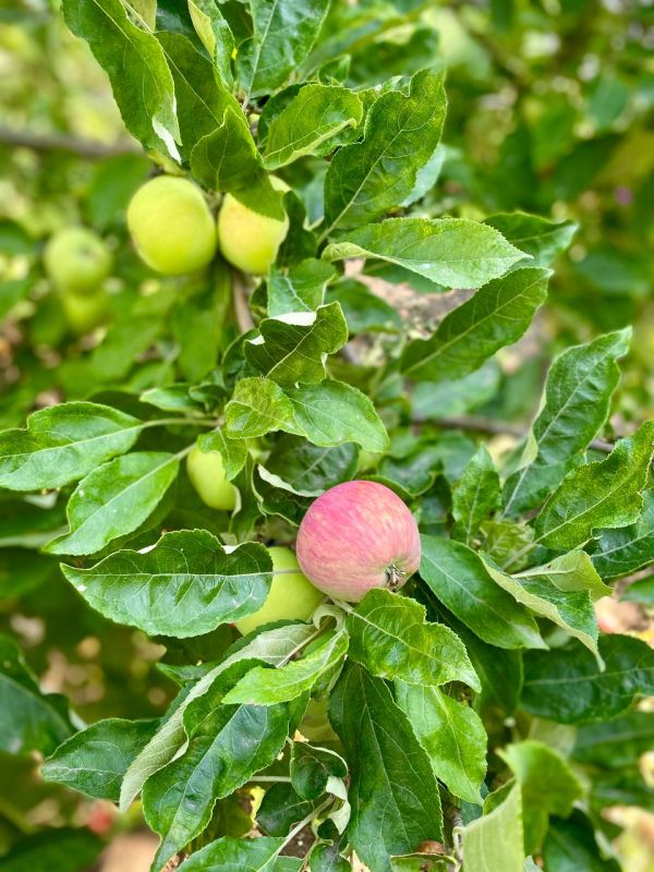 ������ ����!. �������������,������������� ��������! ���������� ���� ����������! sd_kakhovka@khogov.ru