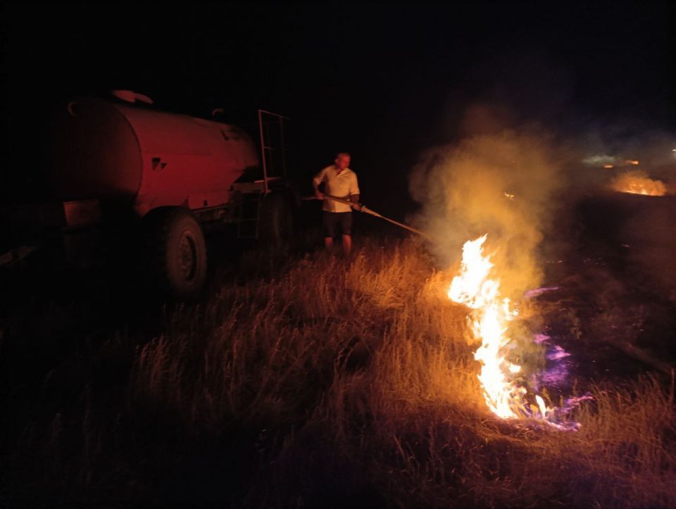 Больше 75 гектаров леса выгорело в Херсонской области 4 июля