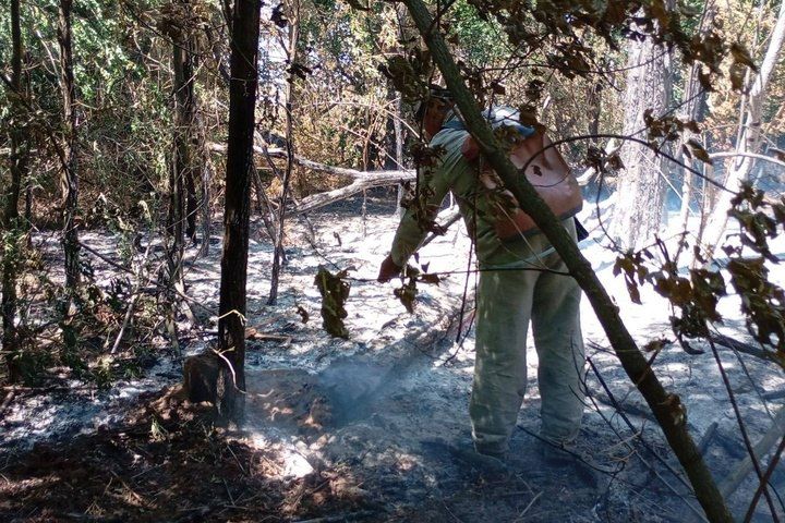 � ��������������� ������� ������� 56 �������� ����