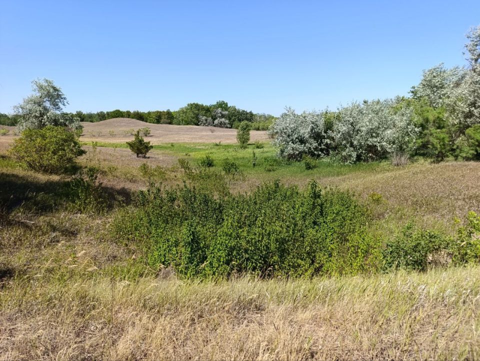 ������ �������������� ������������� � ���������� ����������� "�������-����" ���������� ��� "��� ������", ������ �������� ������