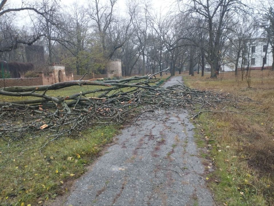 ��� ���� ������ ������ ������ �� ����� ��� �������� ����������� ��������-����