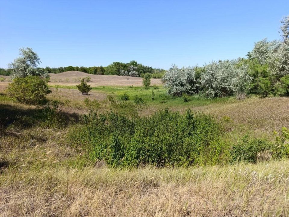 ��� ���� ������ ������ ������ �� ����� ��� �������� ����������� ��������-����