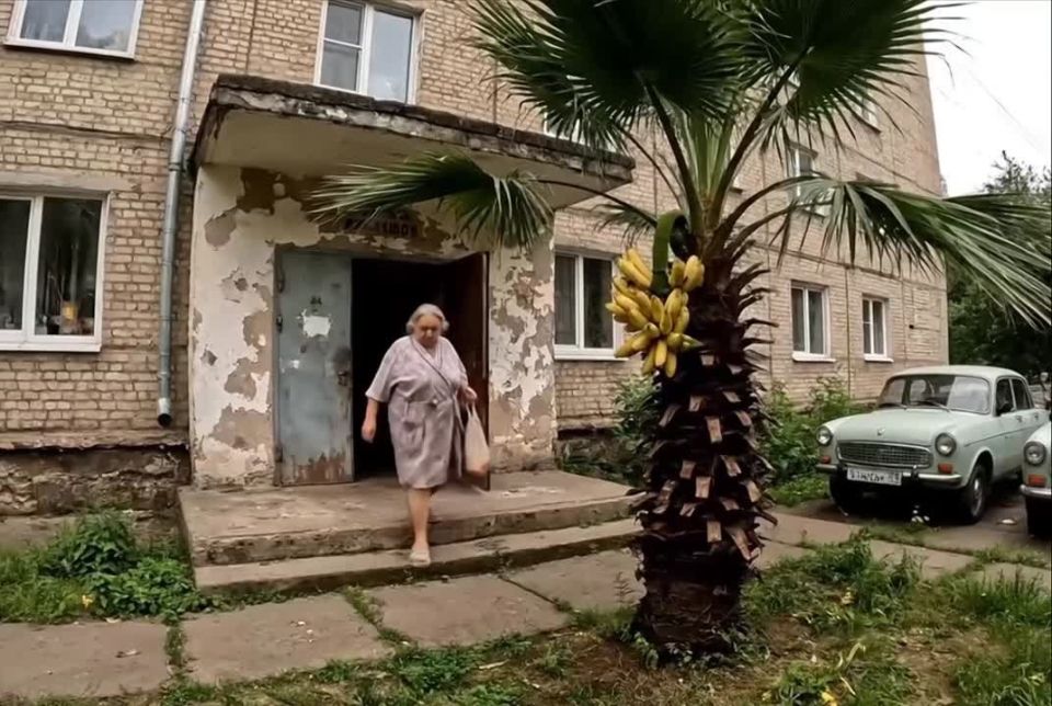 � ������ ������ ���������� ������: ������������� �������� �� � �������� ���������� ���������