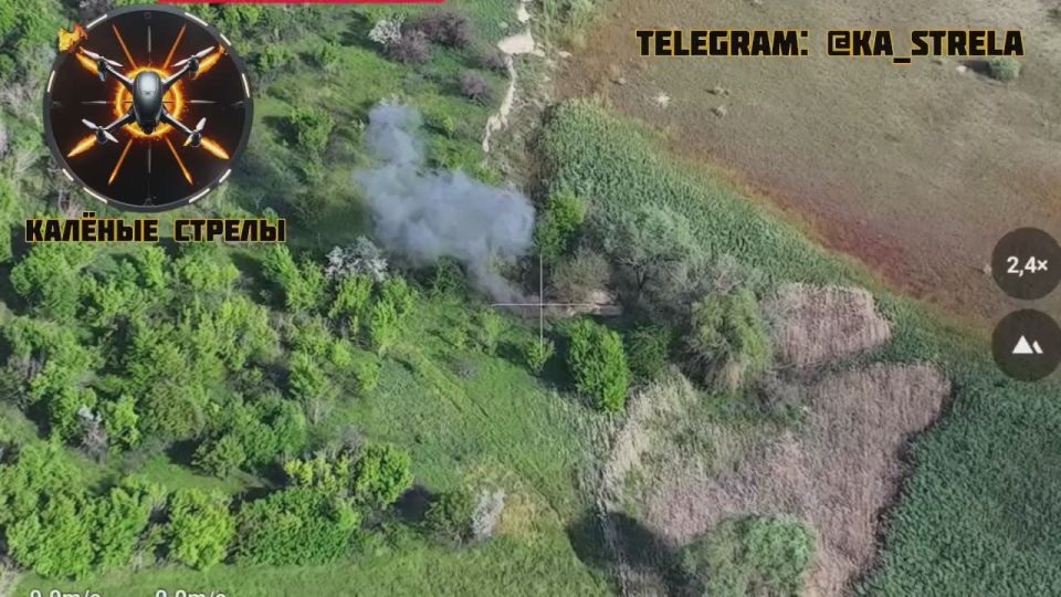 ����������� �������� ����������� ��������� �������� ��������� FPV-������ ����������� �� ����������� �����������