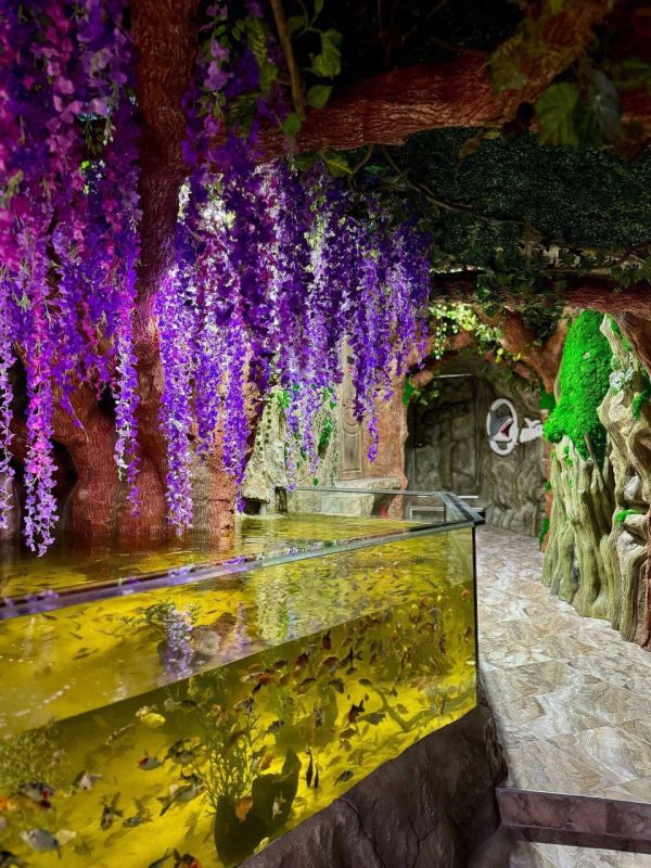 ������� �������: �� ������� ���� ��� ������ �������������