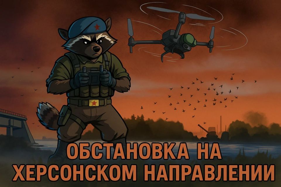 Енот из Херсона: Обстановка на Херсонском направлении (30 июня — 6 июля 2025 года)