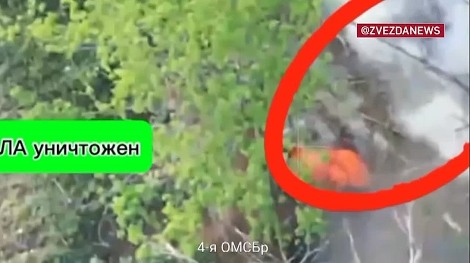 �������� �������� �������� "����-���" � ����������, �� �� ������� ���� ���������