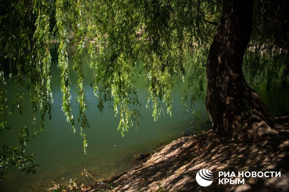 ������ �� ����� ����������� ������