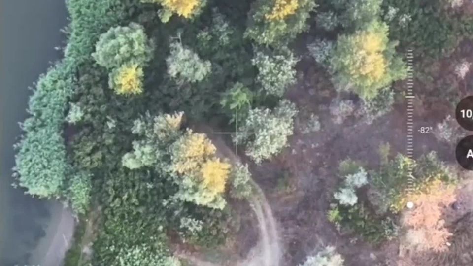 ������. �.�������. ��������� ������� �������� ��� ������ ������� ������� � ��������� �����