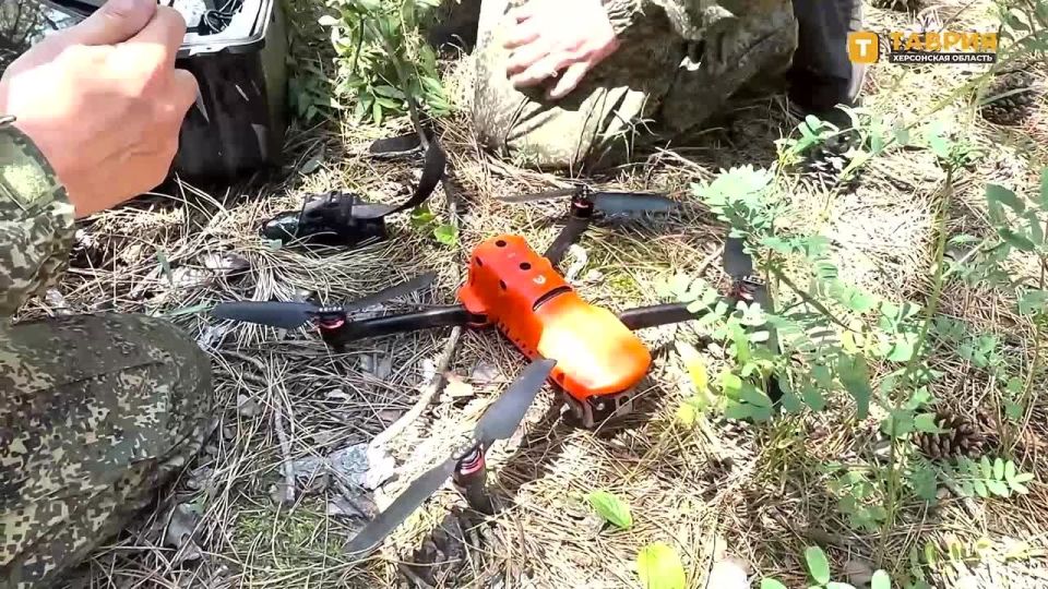 ��������� ���� ����������� ����� "�����" ������� ������� ���