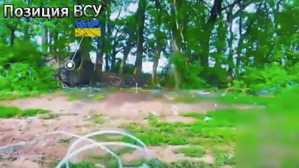 �������� ������������ �������