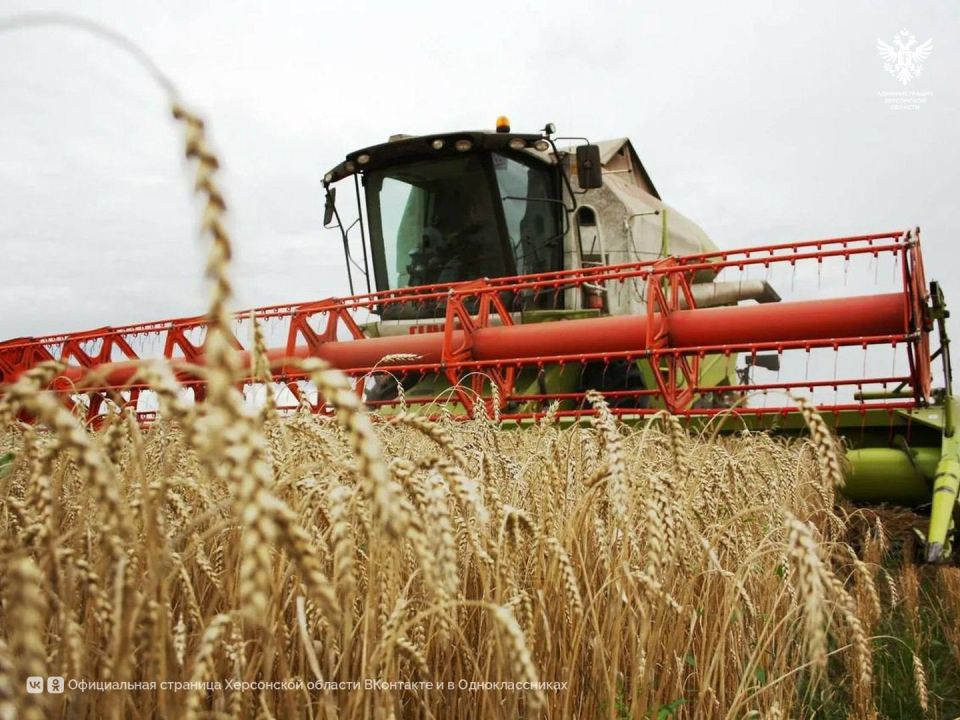 Аграрии Херсонской области засеяли почти миллион гектаров под урожай 2025 года