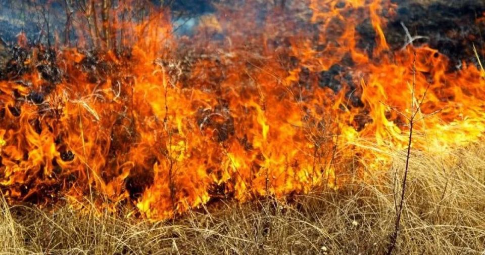 � �����-���������� ��������� ����� ����� ��������������� �������� �� ������� ���