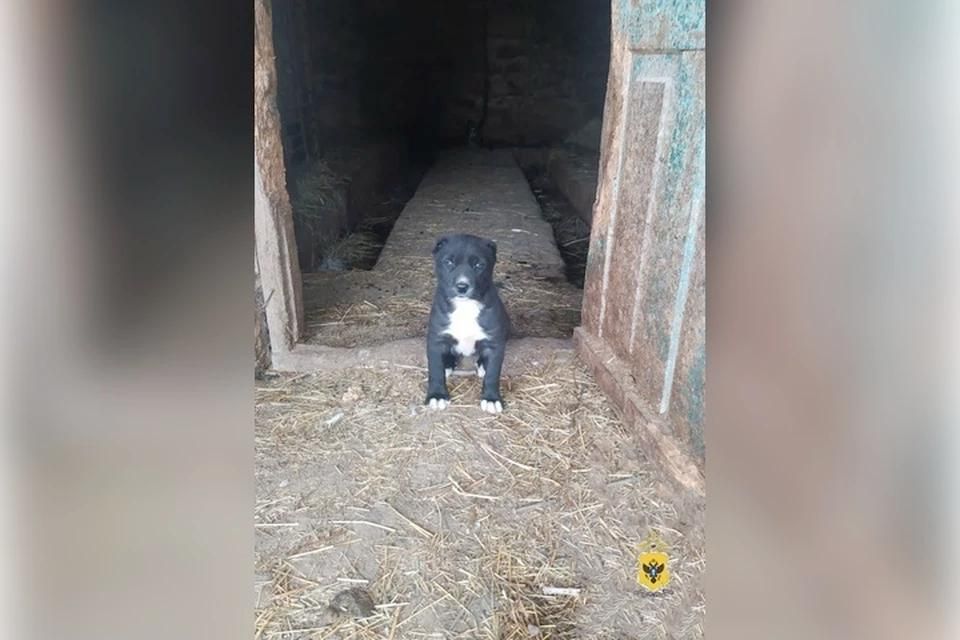 � ���������� ������� �������� ����� ����������� ����� ������