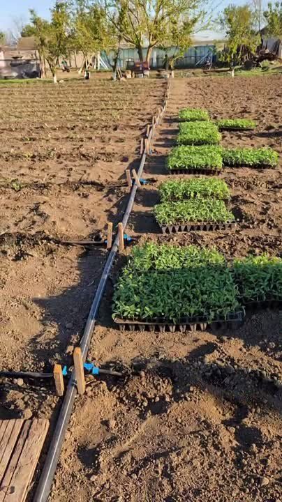 ����������� ����� ������ � ������ ����� � ��������!