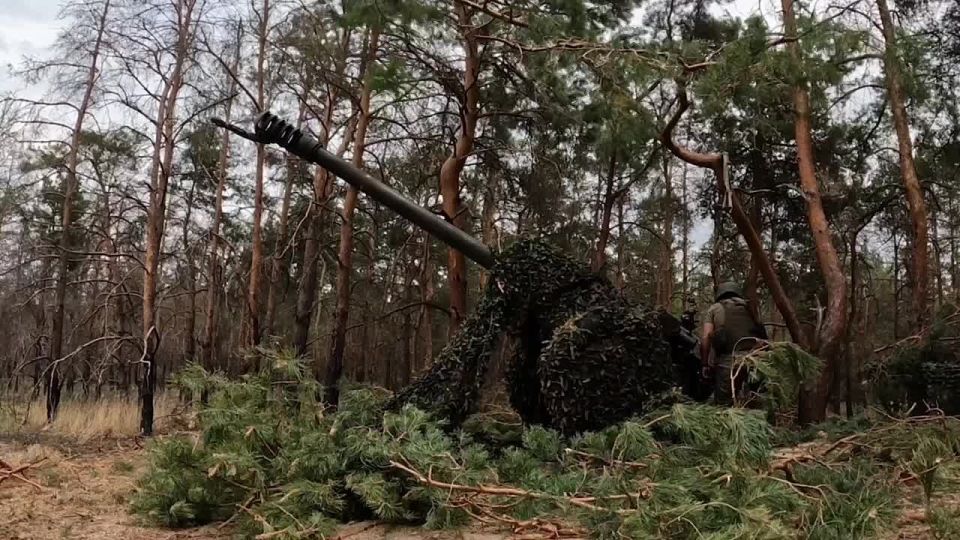 Владимир Сальдо: Артиллеристы морской пехоты Северного флота сорвали ротацию ВСУ на одном из островов Днепра