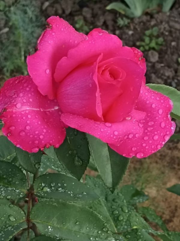 ���� �������� ������ - ������, ��� ��� ����, ��������� ������ ��, ��� ���� ������, ����������� ���!