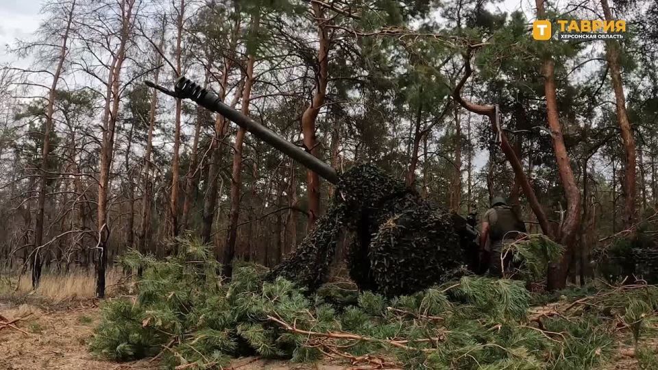 Артиллеристы из группировки войск "Днепр" сорвали ротацию ВСУ на правом берегу Днепра