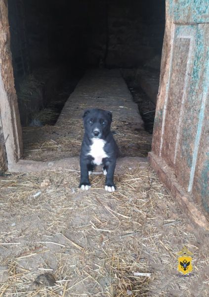 � ������������ ������ ����������� �������� ����� ����� ������ ������