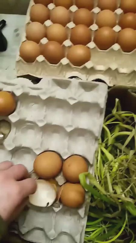 ���� �� �������: ���������� ������� �� �������������� ������� � ����� ���