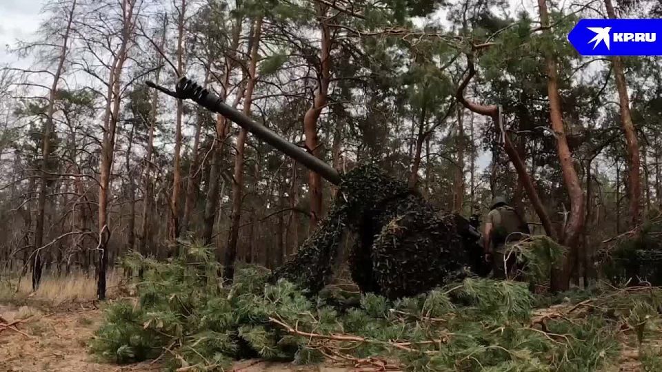 ���������� ������ ������ � ����� ������� ��� �� ������� ������ ����������