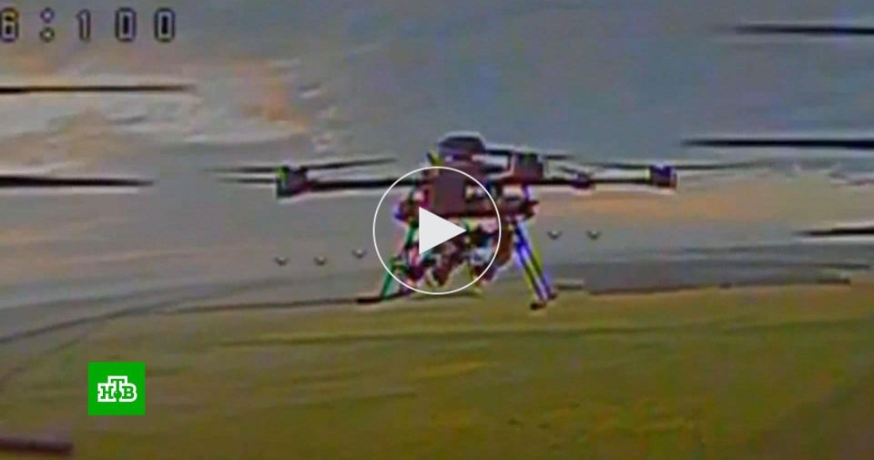 Российские ударные БПЛА воздушным тараном сбивают украинские дроны