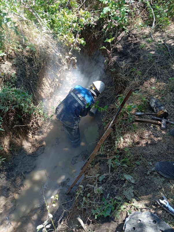 ���������� ����������� ��� ������� ��� ������ �����, ������������ �� ����������� ���������� ������ �������� �������������