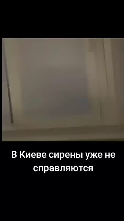 ������� �����: ����������� ���� ���� ��������� ��������� � ����