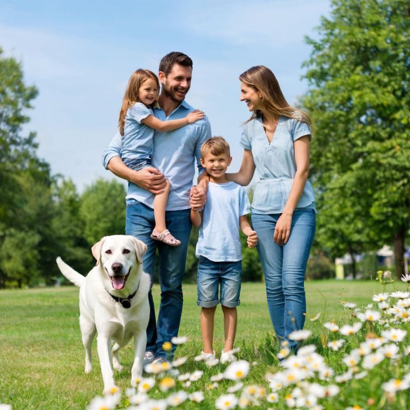 ���� ������ ����� � �������� | ���� �����, ����� � ��������