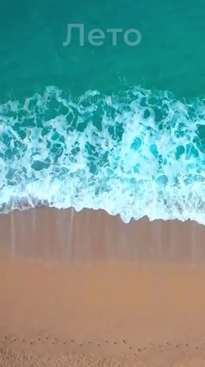 ������, �� �������� �������� �������������� �� 10 ����