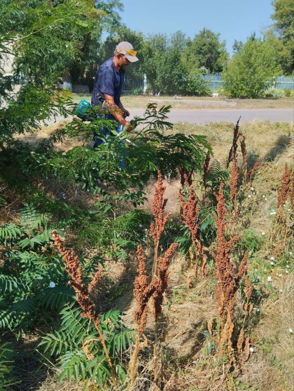 �� ���������� ����������� ������ ������������ ������ �� ������ ������ � ����������� ����