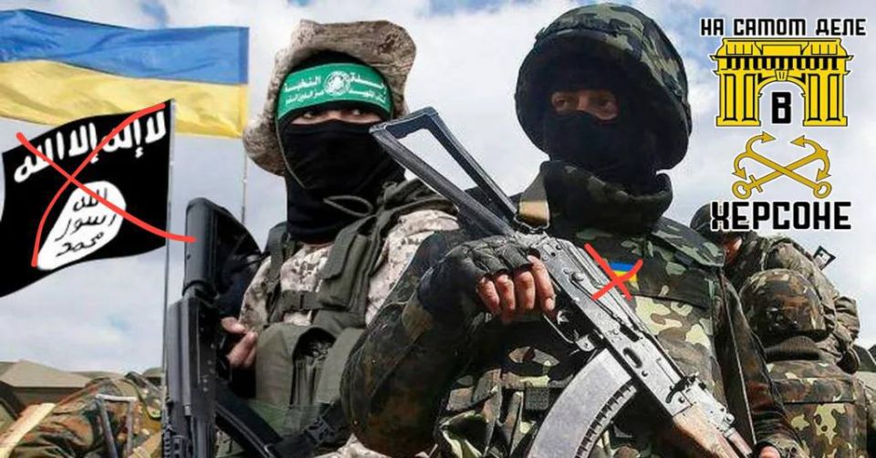 � ������ ������� ����������