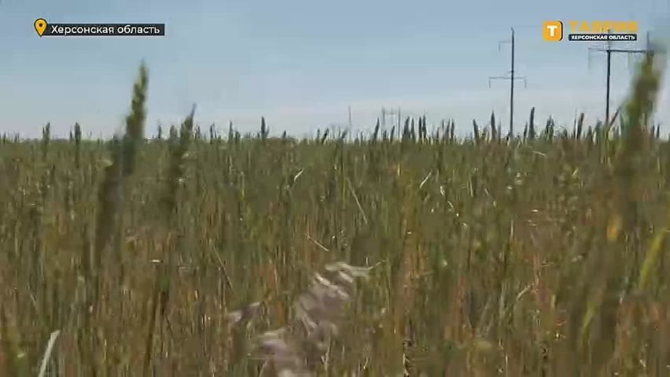 ������� ������� ��� �������� ���������� �������! �������� ������ ������� � ����������� ������, ������������ �������!