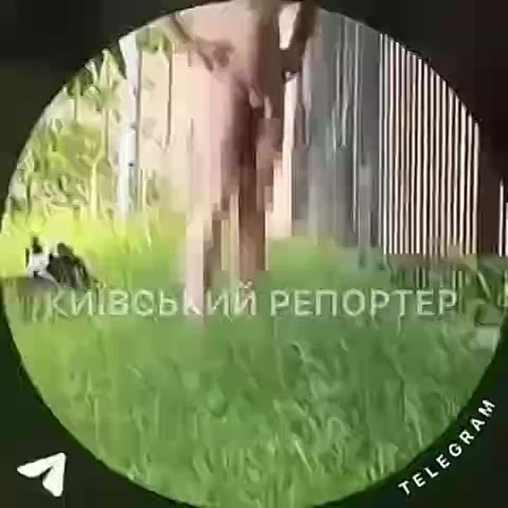 � ����� ��������� ������� ����������, ������� ��������� ������� �������� ������ ����� ����� �� �����!