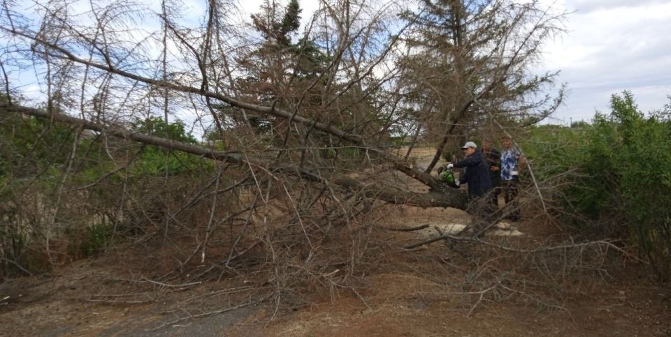 ��������� ��� "���������� �������-������������� ��������� � ��������������� ������������������ �������������� ������" ������� ��������� �� ������ ���������� ������ ���������� ������, ������ � ������� ������������� �����...