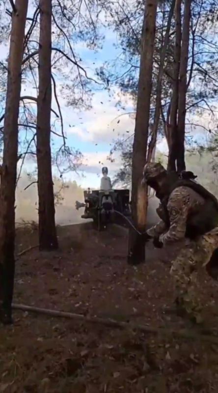  :   3D-   &quot; &quot;   