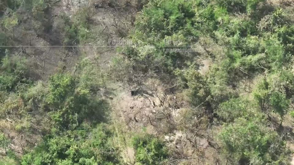 ���������������� �����������