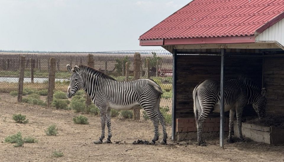 �������� �������-���� ��������� � ������� ������ � �����������