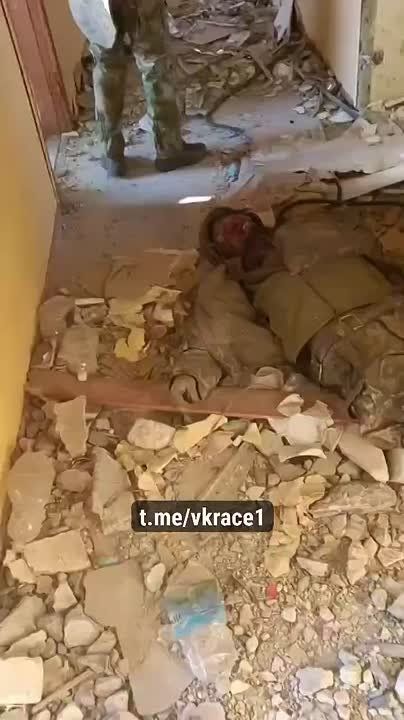 ��� 200. ��������-����� ���������� �������