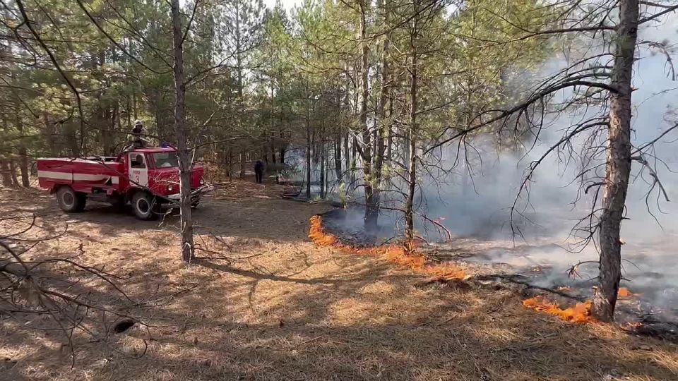 ������ ������ ���������� ������������� � ��������������� �������